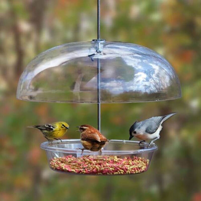Bountiful Bowl™ Feeder 1 ffc0cb4b307e9e051cdb70c1f211c8cb91e41b98 Bountiful Bowl™ Feeder