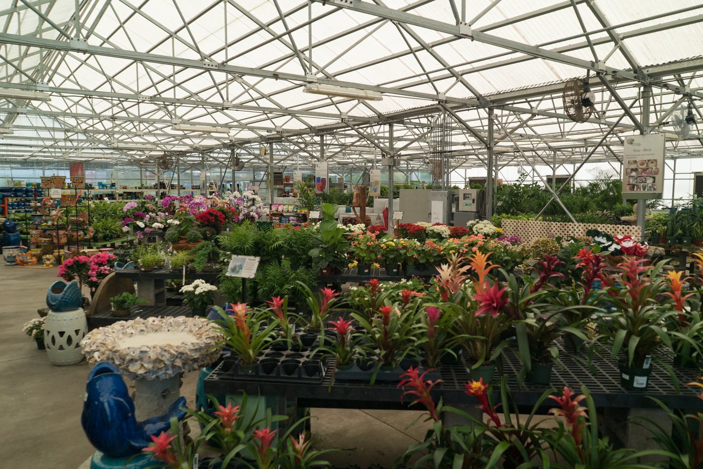  Large garden centers in their two largest stores help drive traffic.