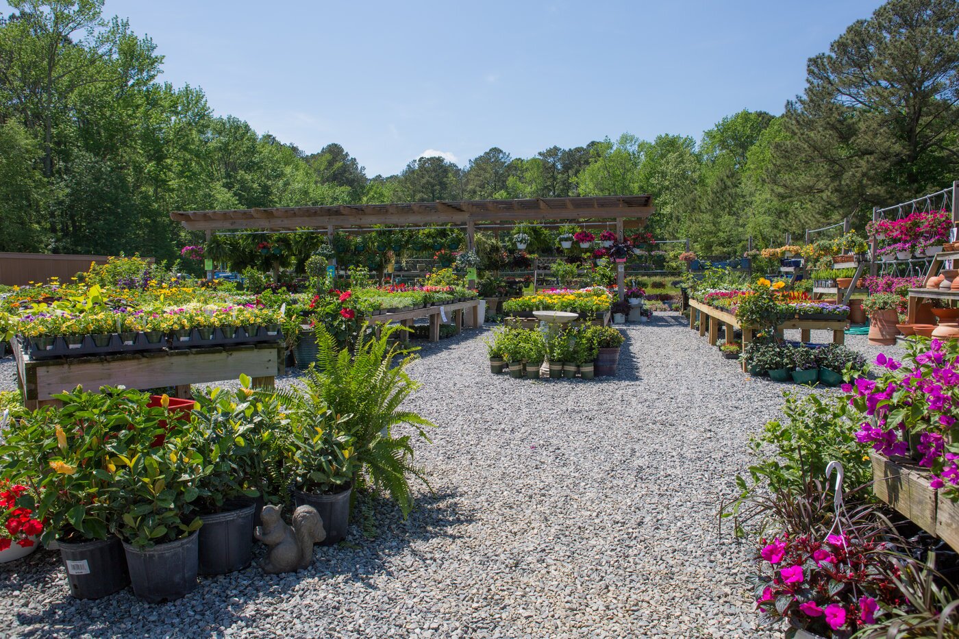 Opening A New Store That Stands Out 7 The 12,000-square-foot garden center is a return to Kathryn Tatterson’s family roots with a wholesale greenhouse business.