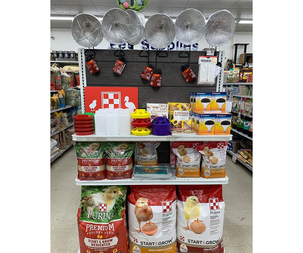 Brandywine Ace Pet & Farm in West Chester, Pa., promotes chicken supplies on an end cap.