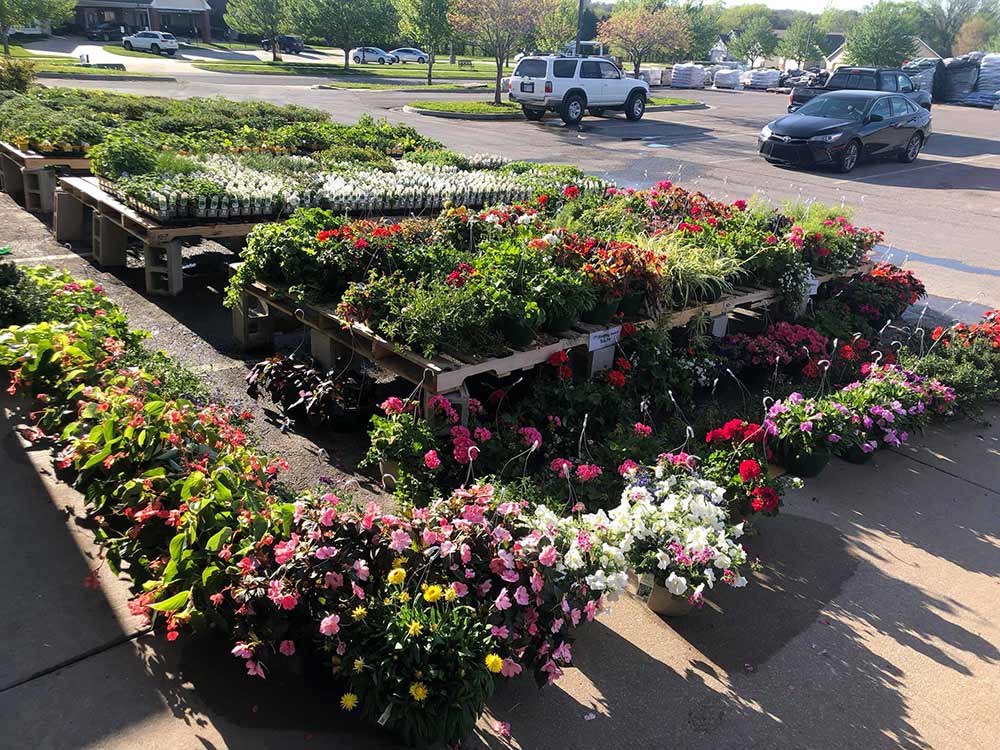 Executing a Dramatic Turnaround 4 Lawn and garden now accounts for 25 percent of sales, helping bring in female customers.