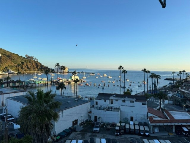 On Catalina Island, one of the biggest challenges is the water supply. During the last drought, watering plants was a low priority when water was rationed.