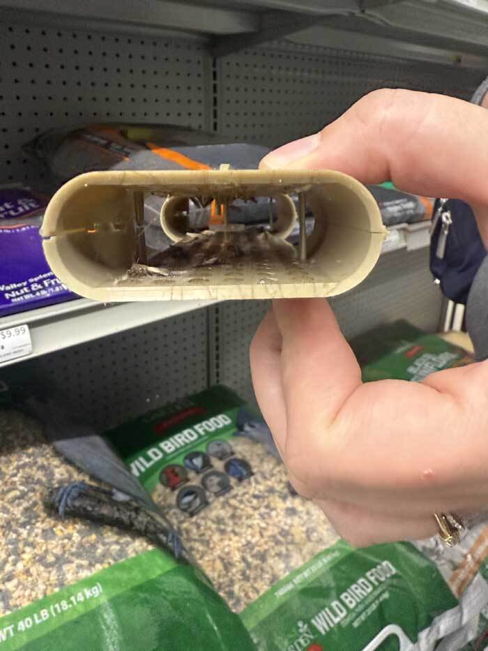 PhotoJan152025101340AM 2889415126 67d03279a2819 RESCUE! Birdseed Moth Trap