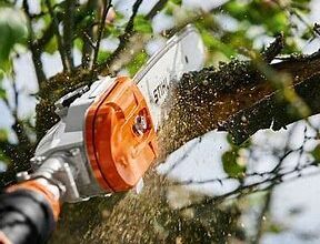 STIHL 135 pole pruner HTA 135 Pole Pruner With AP 500 S 36V Battery from Stihl