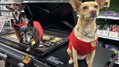Pinnacle Ace Hot Dogs Pinnacle Peak Ace Hardware & Paint Raises Over $20,000 for Local Animal Charities