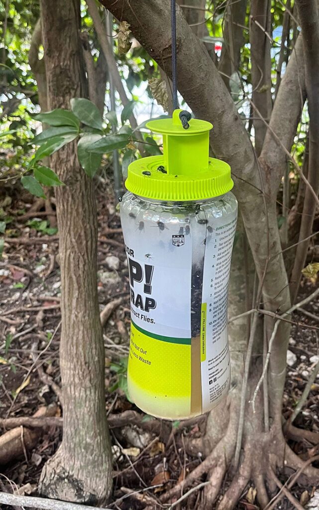 RESCUE! POP! FLY TRAP AND FLY BUCKET 3 RESCUE test web RESCUE! POP! FLY TRAP AND FLY BUCKET