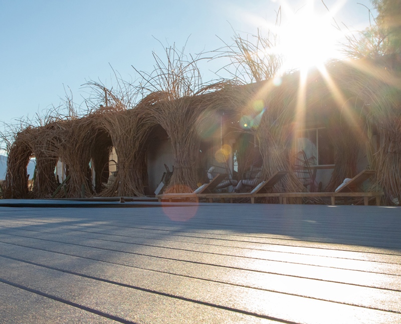 Climate Resilient Trex Refuge2 Trex Identifies 6 Outdoor Living Trends for 2026