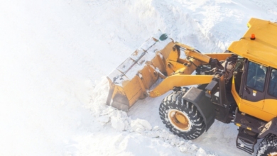 Big Chill Establishing shot 1 Special Section: Winter Products Report